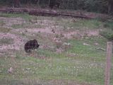 122 - Banff,Lake Louise,Morraine Lake  - IMGA0092